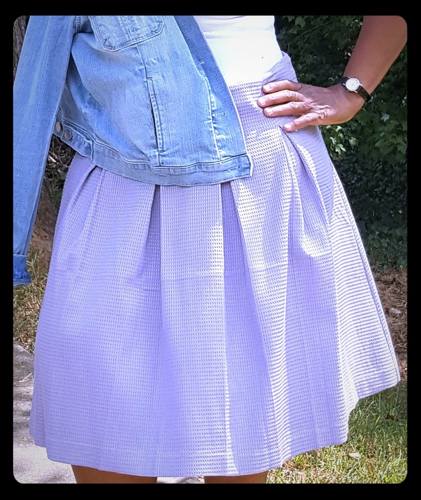 Lilac Ann TAYLOR FACTORY Pleated Circle Skirt